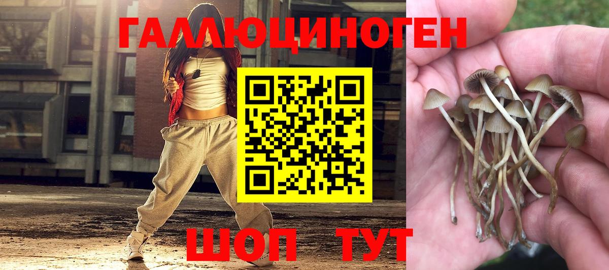 Галлюциногенные грибы Cubensis Алушта