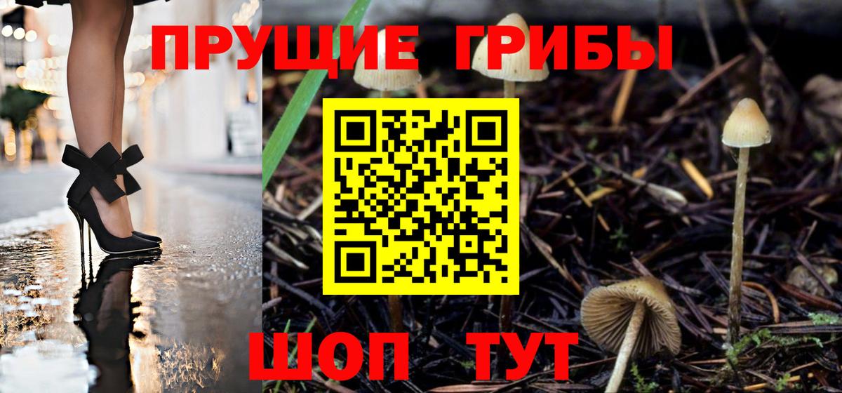Псилоцибиновые грибы ЛСД  Вход с VPN  Алушта 